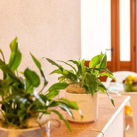 Apartman Casa Pedra Longa