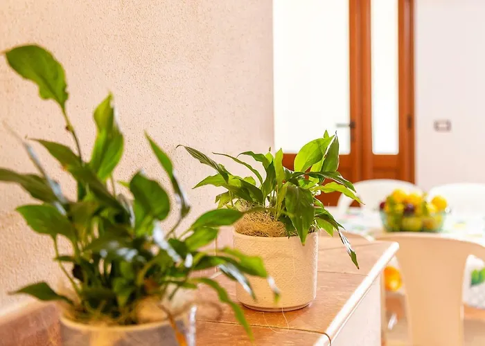 Apartman Casa Pedra Longa